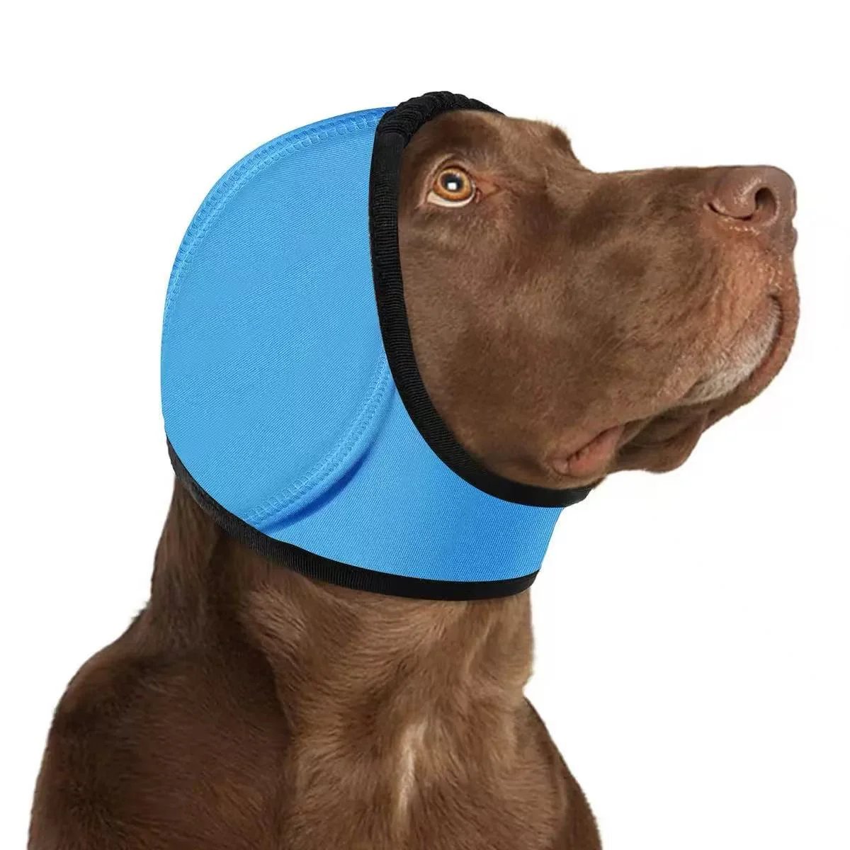 Dog Calming Ear Wrap — Stop Anxiety from Fireworks, Thunder & Baths