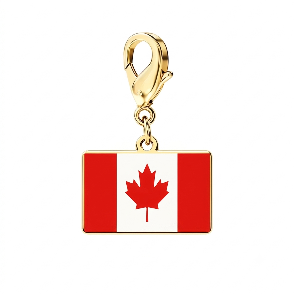 🔥Stainless Steel Country Flag Bracelet Pendant Hand Chain Charm Travel Keyring Ornament