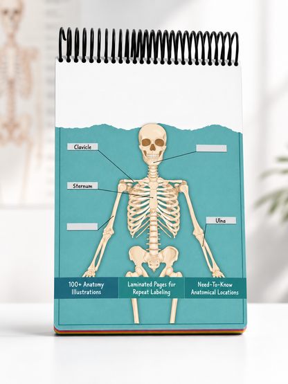 🧠Reusable Anatomy Label Lab Workbook