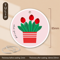 tulip