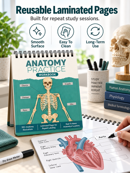 🧠Reusable Anatomy Label Lab Workbook