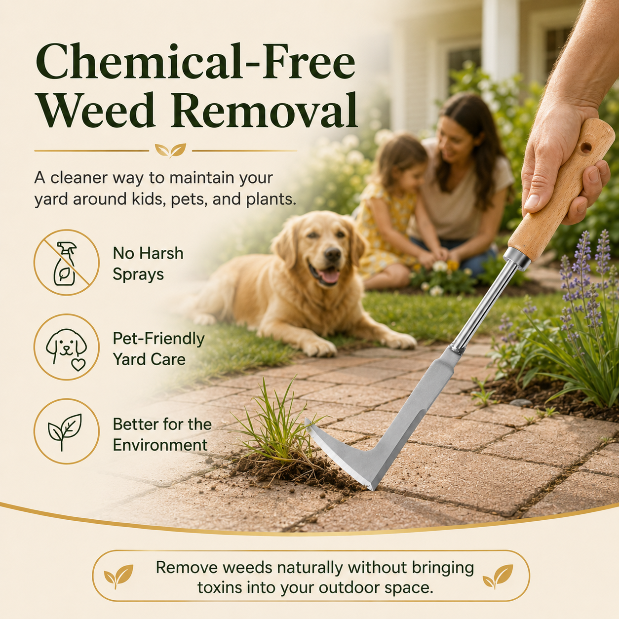 🏡✨Meet the 2026 Crack Weeder: The Secret to a Picture-Perfect Patio Without the Backache!