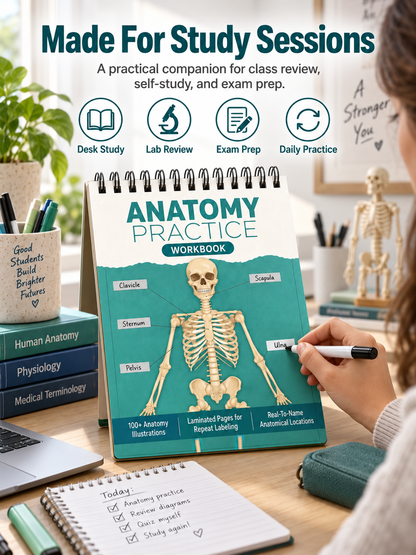 🧠Reusable Anatomy Label Lab Workbook