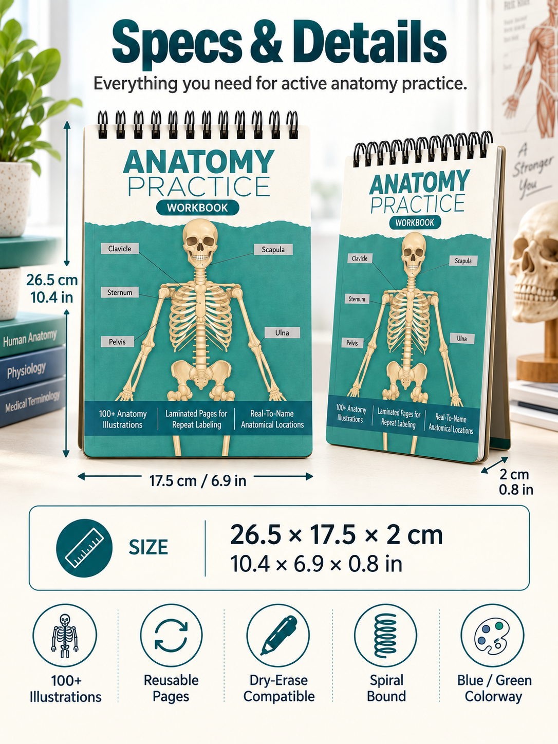 🧠Reusable Anatomy Label Lab Workbook