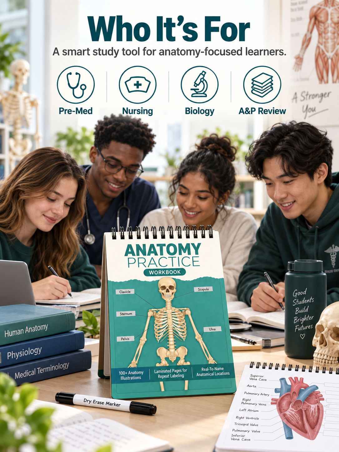 🧠Reusable Anatomy Label Lab Workbook
