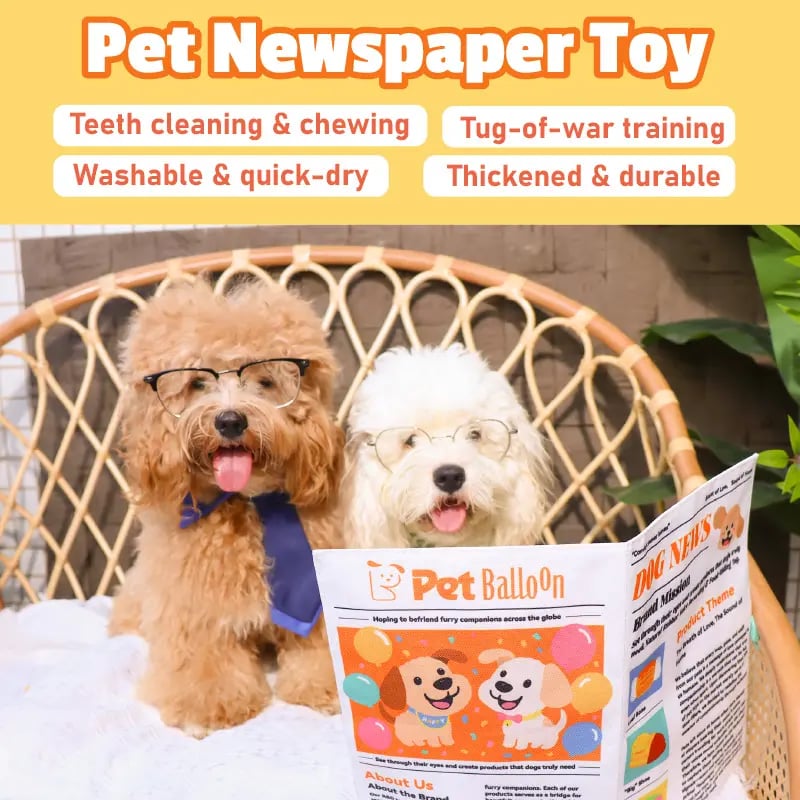 🔥Hot Sale 49% off🌟📰 Durable Newspaper Dog Toy