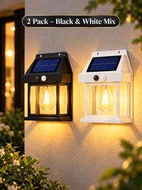 2 Pack – Black & White Mix