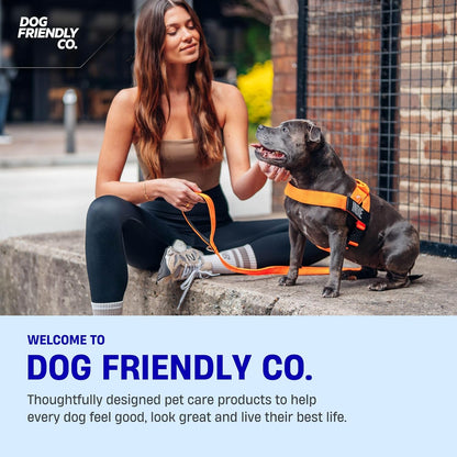 Dog Friendly Harness