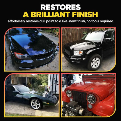 Scratch & Swirl Remover Kit