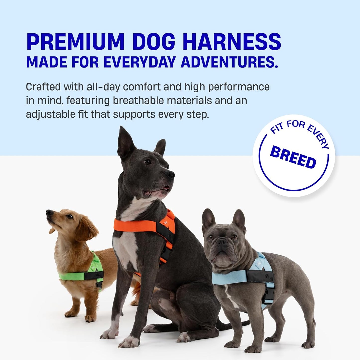 Dog Friendly Harness