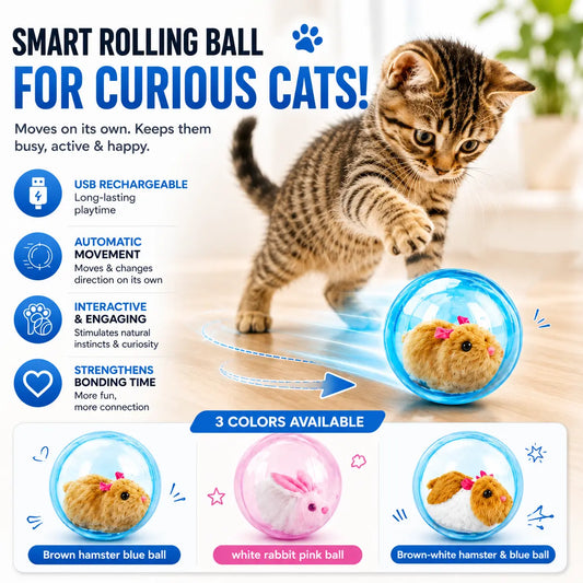 🔥Smart Cat Toy Ball - Special Offer!