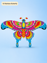 10 Rainbow Butterfly