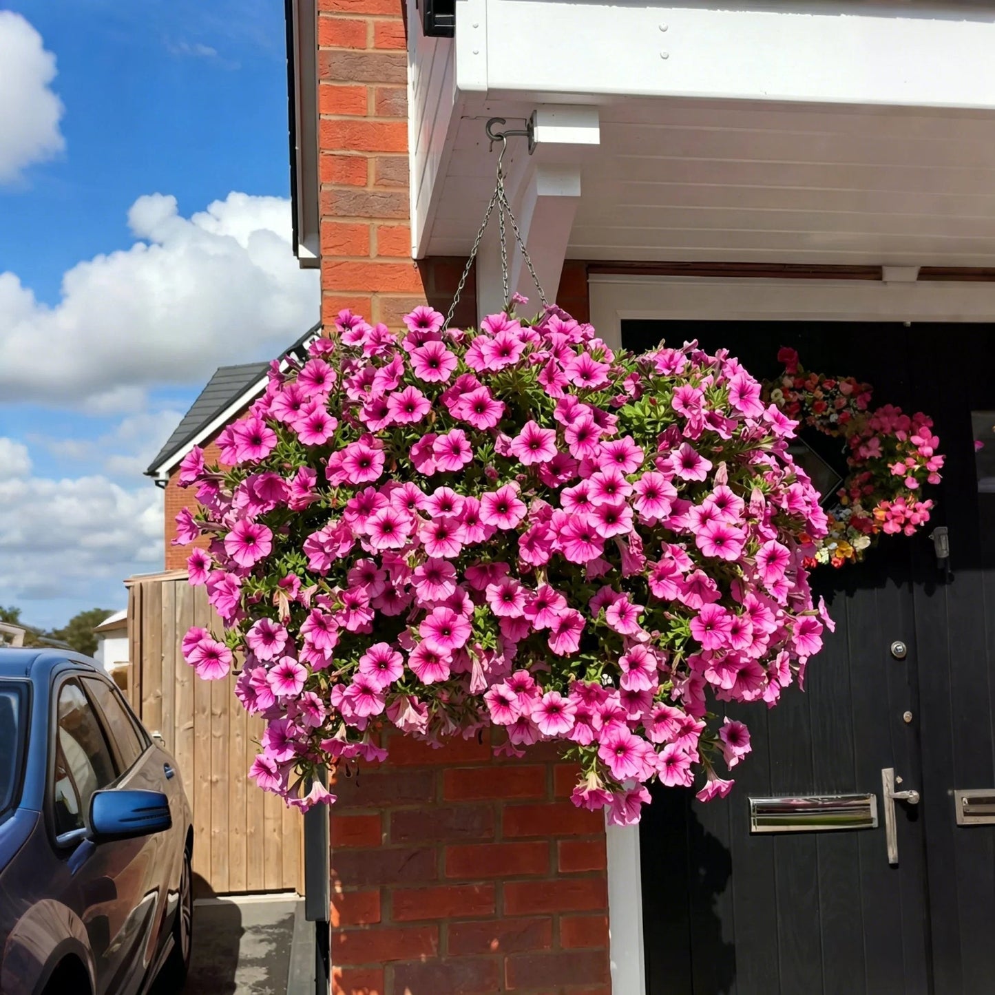 🌺UV Resistant Artificial Petunias Flowers