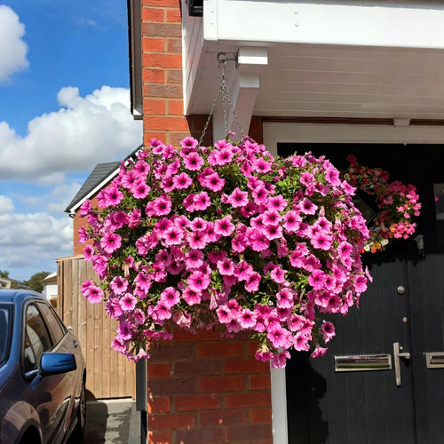 🌺UV Resistant Artificial Petunias Flowers