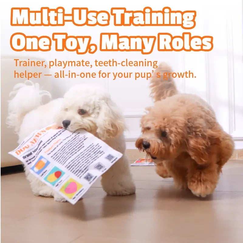 🔥Hot Sale 49% off🌟📰 Durable Newspaper Dog Toy