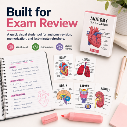 Human Anatomy Flashcards – 30-Piece Visual Study Guide for Medical, Nursing & Anatomy Exam Prep