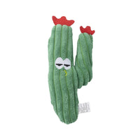 Green Cactus