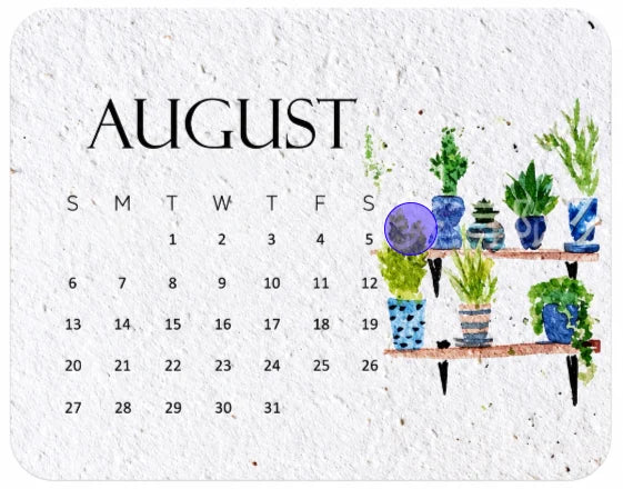 ✨Early Holiday Sale 45% OFF🌱Eco-Friendly Plantable “Timeless” Seed Calendar 2027