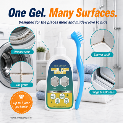 Heavy-Duty Mold Remover Gel with Scrub Brush