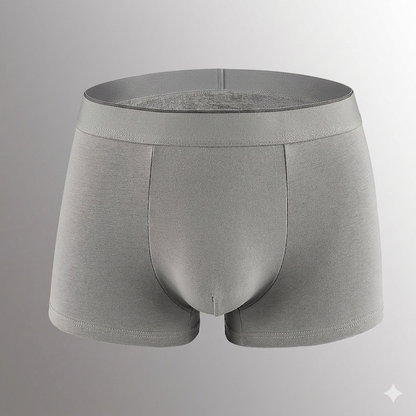🔥[Father's Day Gift] ❄️SUMMER ESSENTIAL🔥 Men's Dual-Pouch Ice Silk Trunks(4PCS)