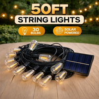 15m/50ft(Contains 30 light bulbs)