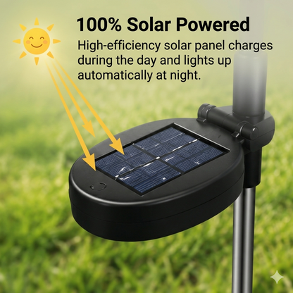 ✨🌙 Daily Hot Picks | Solar Firefly Garden Light 🌿💫