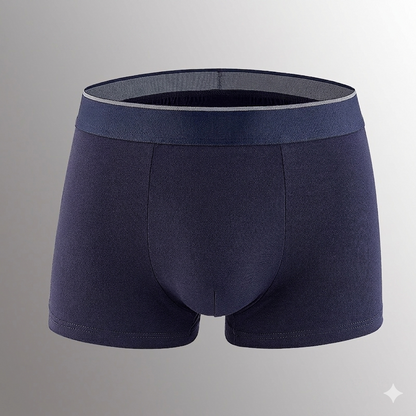 🔥[Father's Day Gift] ❄️SUMMER ESSENTIAL🔥 Men's Dual-Pouch Ice Silk Trunks(4PCS)