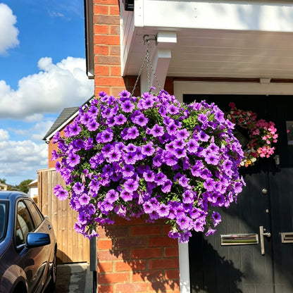 🌺UV Resistant Artificial Petunias Flowers