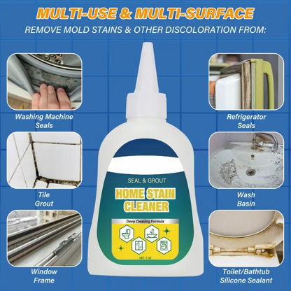 Heavy-Duty Mold Remover Gel with Scrub Brush
