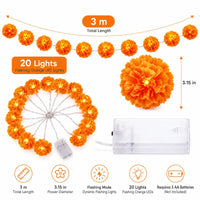 3m  20 LEDs – 3x AA batteries – Steady-on mode