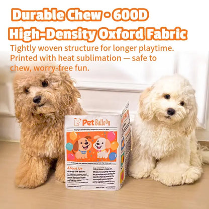 🔥Hot Sale 49% off🌟📰 Durable Newspaper Dog Toy