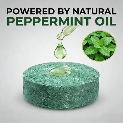 🐀 49% OFF NOW!⚡🟢Natural Peppermint Rodent Repellent Tablets