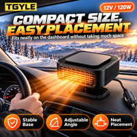 LY118 Black-Gray 12V
