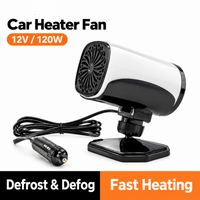 LY118 Black 12V